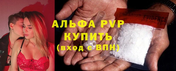 молекула духа Липки