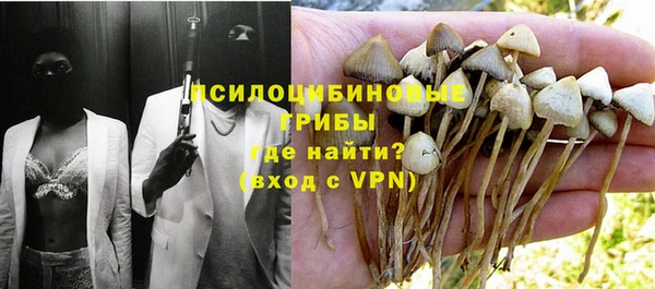 молекула духа Липки