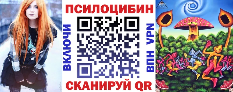 Галлюциногенные грибы Psilocybe  Ижевск 