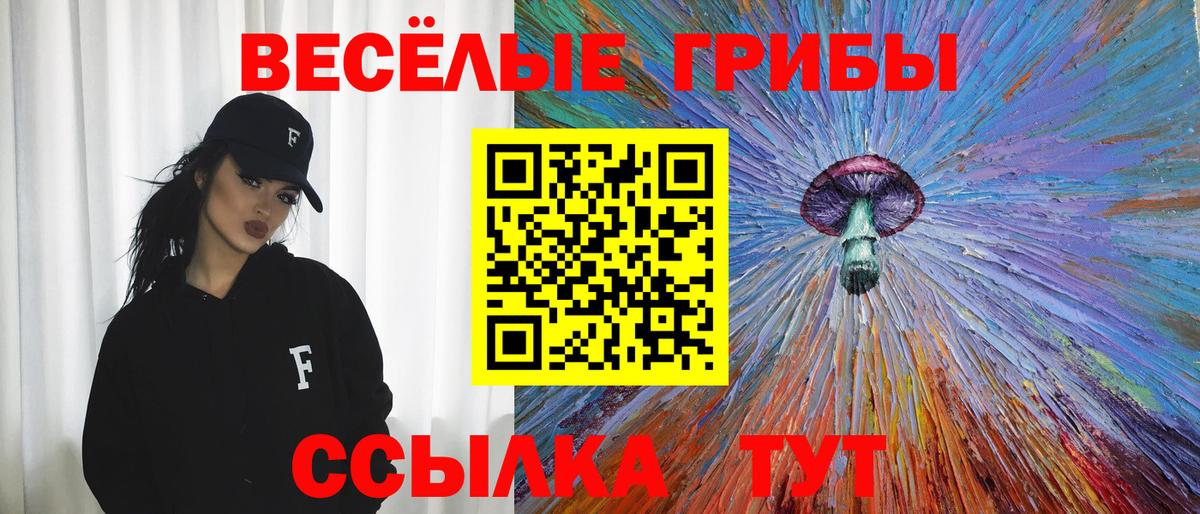 Галлюциногенные грибы Psilocybe  Вход с VPN  Псилоцибиновые грибы ЛСД  Ижевск 
